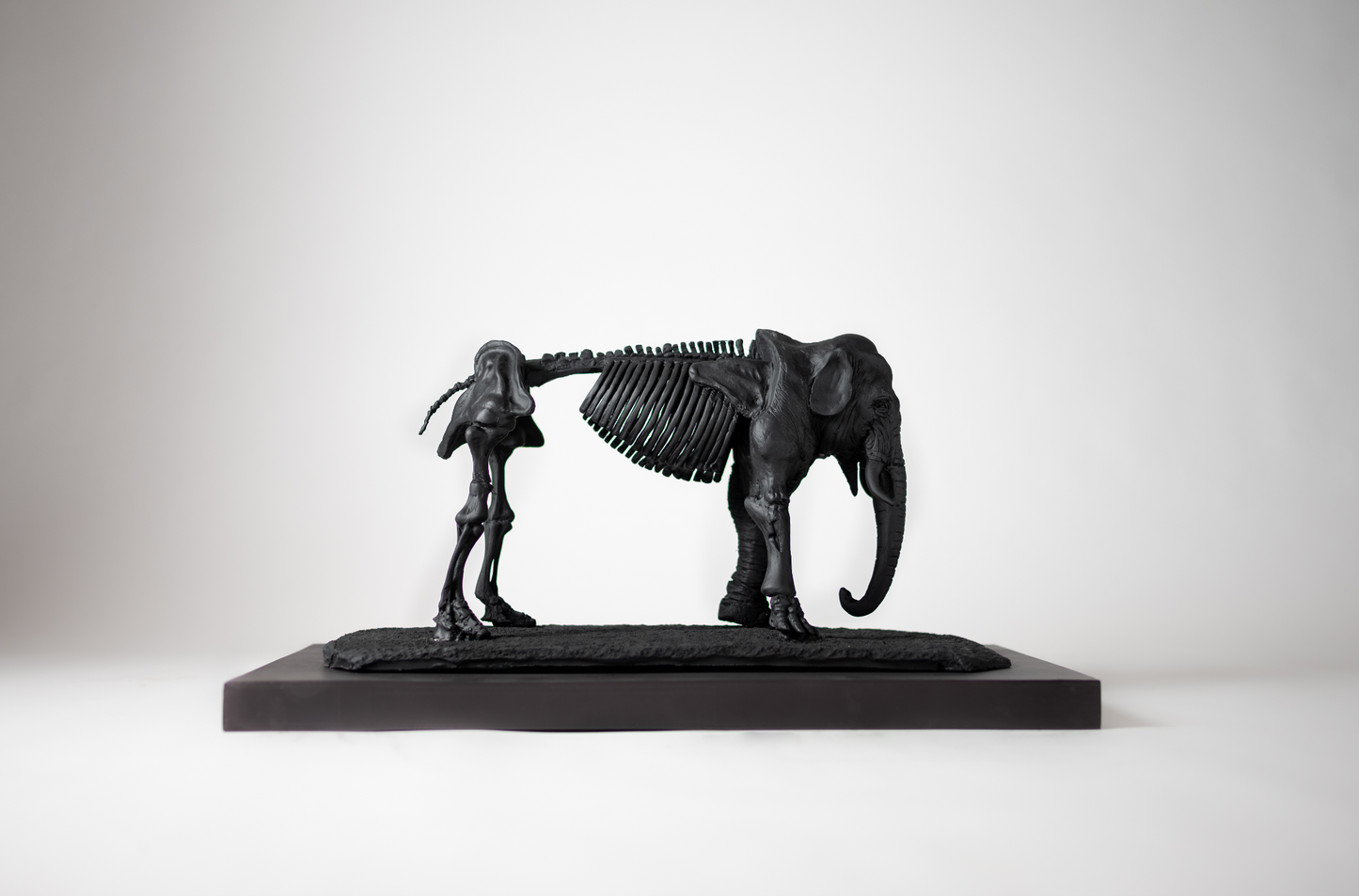 Escultura Elefante Osseous