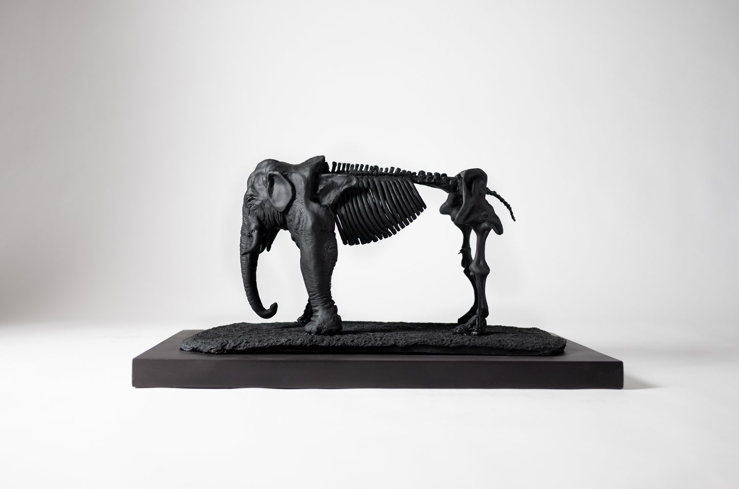 Escultura Elefante Osseous