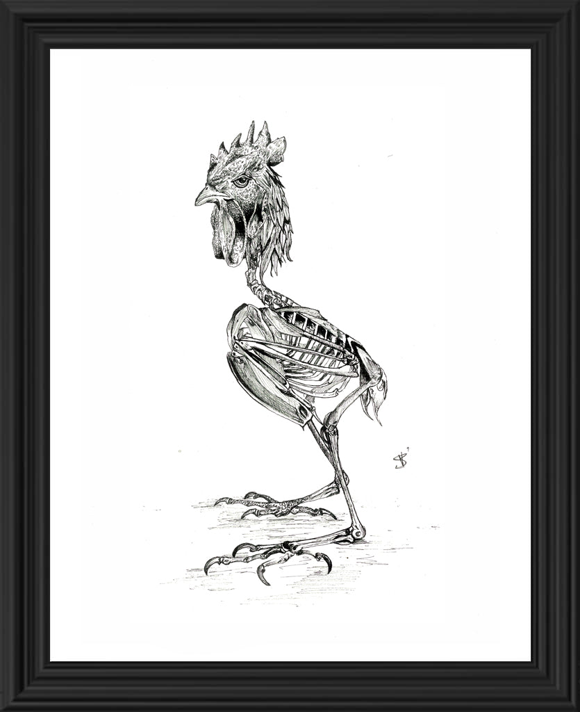 Gallo
