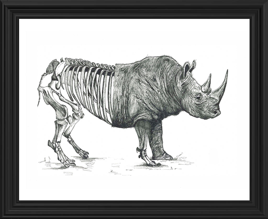 Rino